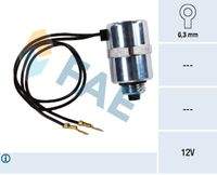 FAE 73015 Abstellvorrichtung, Einspritzanlage