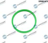 Dr.Motor Automotive DRM01675 Dichtring, Ladeluftschlauch