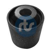 RTS 01701009 Lagerung, Lenker