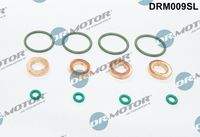 Dr.Motor Automotive DRM009SL Dichtungssatz, Einspritzdüse