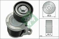 Schaeffler INA 534059110 Riemenspanner, Keilrippenriemen