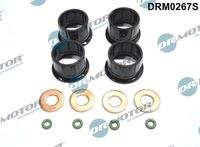 Dr.Motor Automotive DRM0267S Dichtungssatz, Einspritzdüse