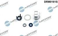 Dr.Motor Automotive DRM0181S Reparatursatz, Einspritzdüse