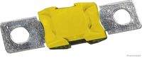HERTH+BUSS ELPARTS 50295870 Sicherung