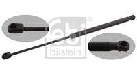 FEBI BILSTEIN 31955 Gasfeder, Koffer-/Laderaum