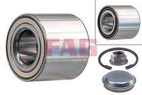 Schaeffler FAG 713619960 Radlagersatz