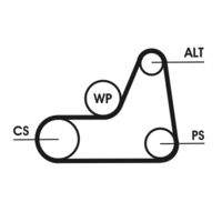 CONTINENTAL CTAM 6PK1042ELAST Keilrippenriemen