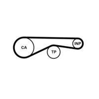 CONTINENTAL CTAM CT1095 Zahnriemen