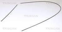 TRISCAN 814027600 Motorhaubenzug