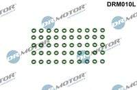 Dr.Motor Automotive DRM010L Dichtring, Einspritzventil