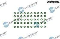 Dr.Motor Automotive DRM010L Dichtring, Düsenhalter