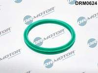 Dr.Motor Automotive DRM0624 Dichtring, Ladeluftschlauch
