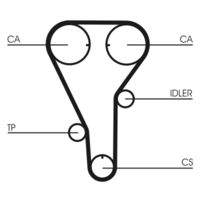 CONTINENTAL CTAM CT972 Zahnriemen