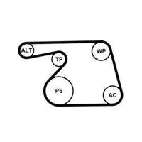 CONTINENTAL CTAM 6PK1318K2 Keilrippenriemensatz