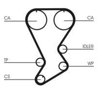 CONTINENTAL CTAM CT812 Zahnriemen
