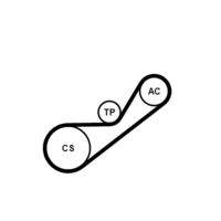 CONTINENTAL CTAM 4PK925K1 Keilrippenriemensatz