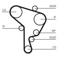 CONTINENTAL CTAM CT946WP2 Wasserpumpe + Zahnriemensatz