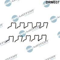Dr.Motor Automotive DRM037 Haltefeder