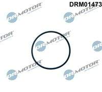 Dr.Motor Automotive DRM01473 Dichtung, Kraftstoffpumpe