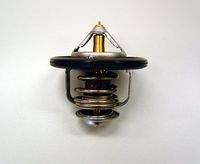 BorgWarner (Wahler) 41017882D Thermostat, Kühlmittel