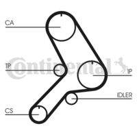 CONTINENTAL CTAM CT613 Zahnriemen