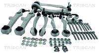 TRISCAN 85002901105 Reparatursatz, Querlenker