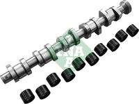 Schaeffler INA 428004030 Nockenwellensatz