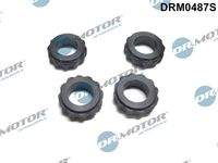Dr.Motor Automotive DRM0487S Dichtring, Einspritzventil