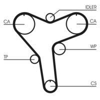 CONTINENTAL CTAM CT1029 Zahnriemen