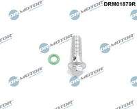 Dr.Motor Automotive DRM01879R Reparatursatz, Ölpumpe