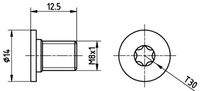 MINTEX TPM0002 Schraube, Bremsscheibe