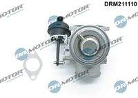 Dr.Motor Automotive DRM211110 AGR-Ventil