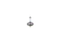 BOSCH 1987301423 Glühlampe, Fernscheinwerfer