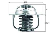 MAHLE TX20888D Thermostat, Kühlmittel
