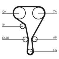 CONTINENTAL CTAM CT1127 Zahnriemen