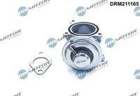 Dr.Motor Automotive DRM211165 AGR-Ventil