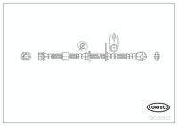 CORTECO 19036992 Bremsschlauch