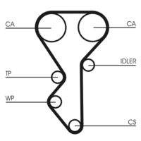 CONTINENTAL CTAM CT955 Zahnriemen