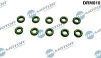 Dr.Motor Automotive DRM010 Dichtring, Einspritzventil