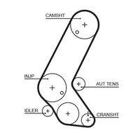 GATES 5595XS Zahnriemen