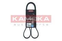 KAMOKA 7015056 Keilrippenriemen