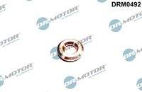 Dr.Motor Automotive DRM0492 Wärmeschutzscheibe, Einspritzanlage