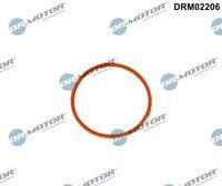 Dr.Motor Automotive DRM02206 Dichtung, Drosselklappenstutzen