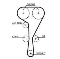 GATES 5550XS Zahnriemen