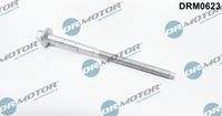 Dr.Motor Automotive DRM0623 Schraube, Einspritzdüsenhalter