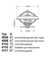 BorgWarner (Wahler) 411687D1 Thermostat, Kühlmittel