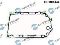 Dr.Motor Automotive DRM01444 Dichtung, Ölwanne