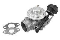 BorgWarner (Wahler) 7301D/1 AGR-Ventil