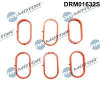 Dr.Motor Automotive DRM01632S Dichtungssatz, Ansaugkrümmer