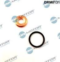 Dr.Motor Automotive DRM0131 Dichtungssatz, Einspritzdüse